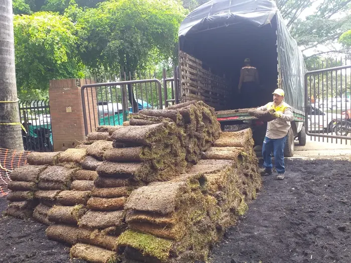 Siembra y suministro de prado · Siembra de prado, Colombia Agroforestal