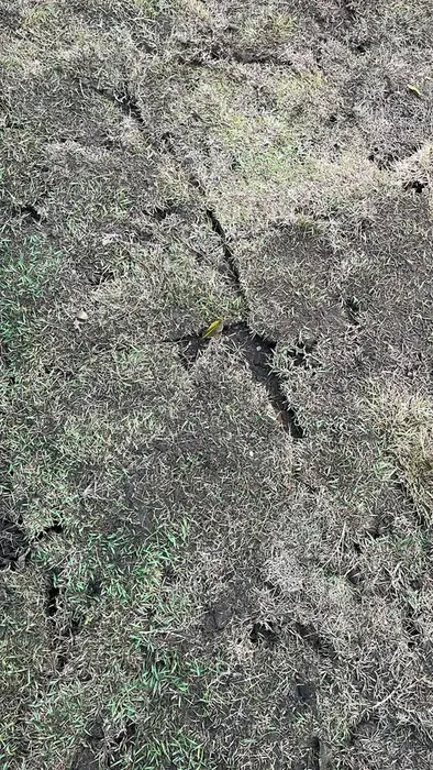 Construcción y mantenimiento de canchas y parques · Canchas y parques, Colombia Agroforestal