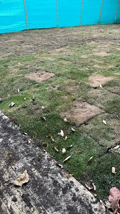 Construcción y mantenimiento de canchas y parques · Canchas y parques, Colombia Agroforestal