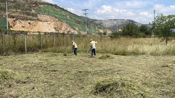 Poda y corte de césped · Poda de césped, Colombia Agroforestal