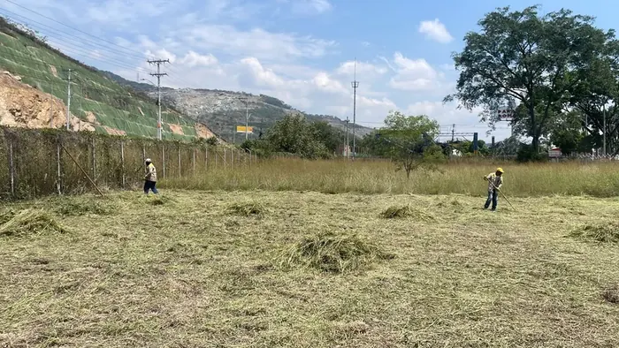 Poda y corte de césped · Poda de césped, Colombia Agroforestal