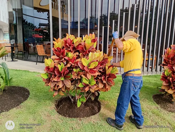 Mantenimiento de jardines y zonas verdes · Mantenimiento de jardines, Colombia Agroforestal