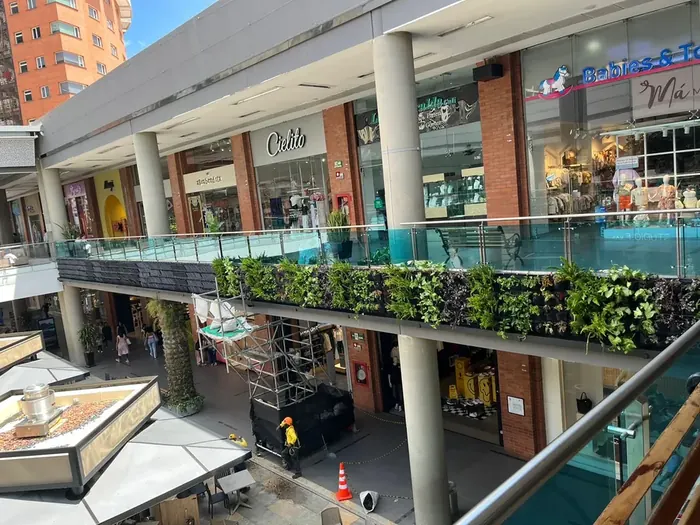Diseño e instalación de jardines verticales · Jardín vertical, Colombia Agroforestal