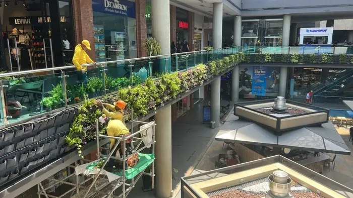 Diseño e instalación de jardines verticales · Jardín vertical, Colombia Agroforestal