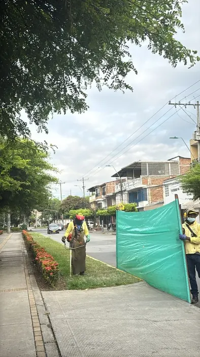 Corte y mantenimiento de césped · Corte de césped, Colombia Agroforestal