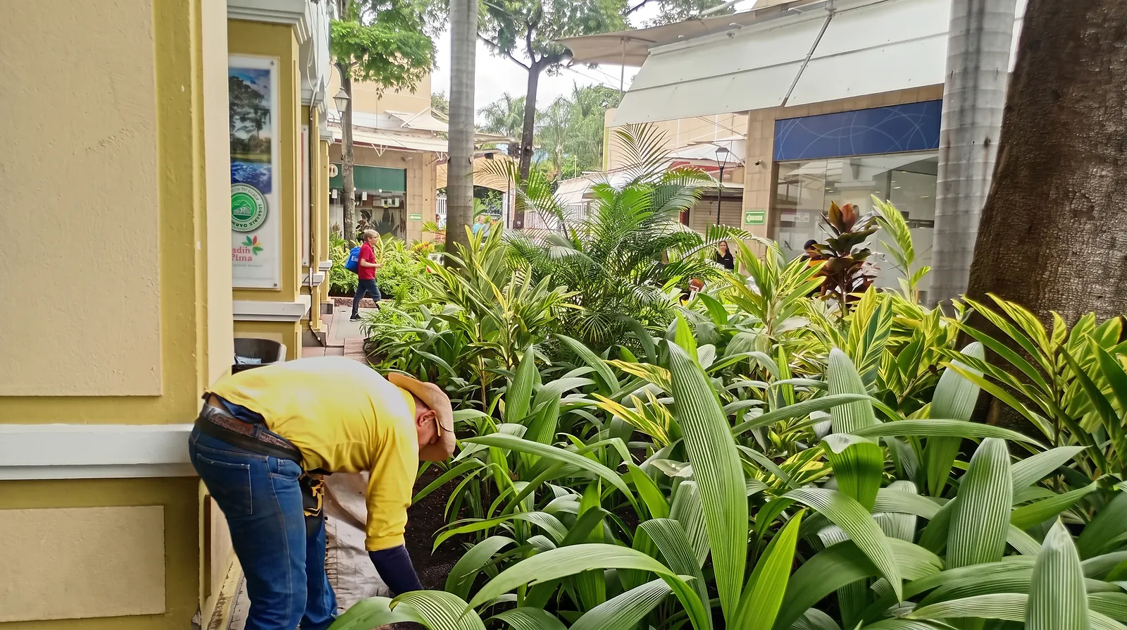Mantenimiento de zonas verdes y jardinería
