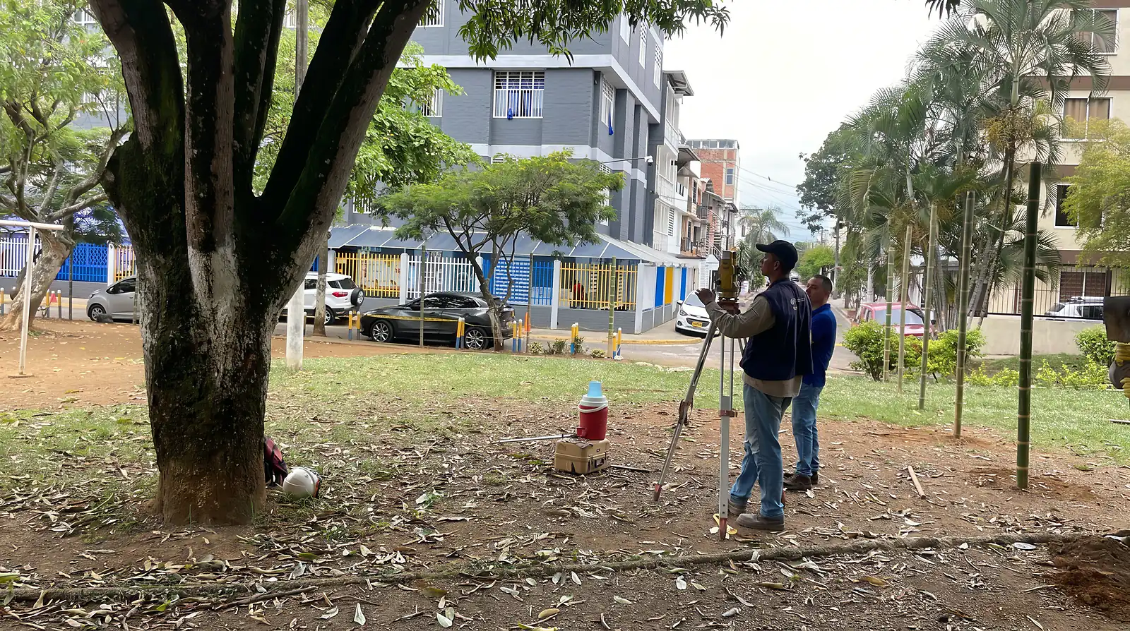 Consultoría ambiental: equipo de Colombia Agroforestal en estudio de campo